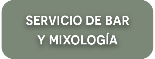 Servicio de Bar y Mixología